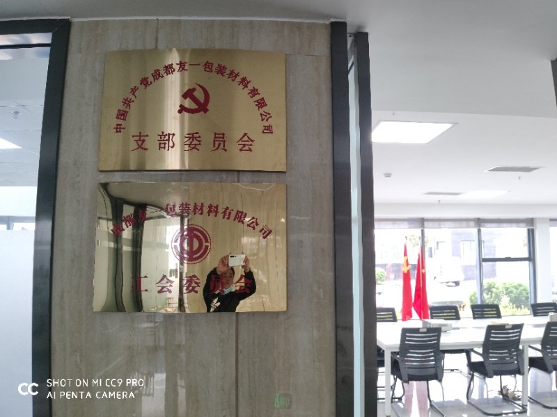 热烈：豣ti体育集团成都分公司党支部在2020年3月11日授牌建设，支部书记曹云(行政部司理)